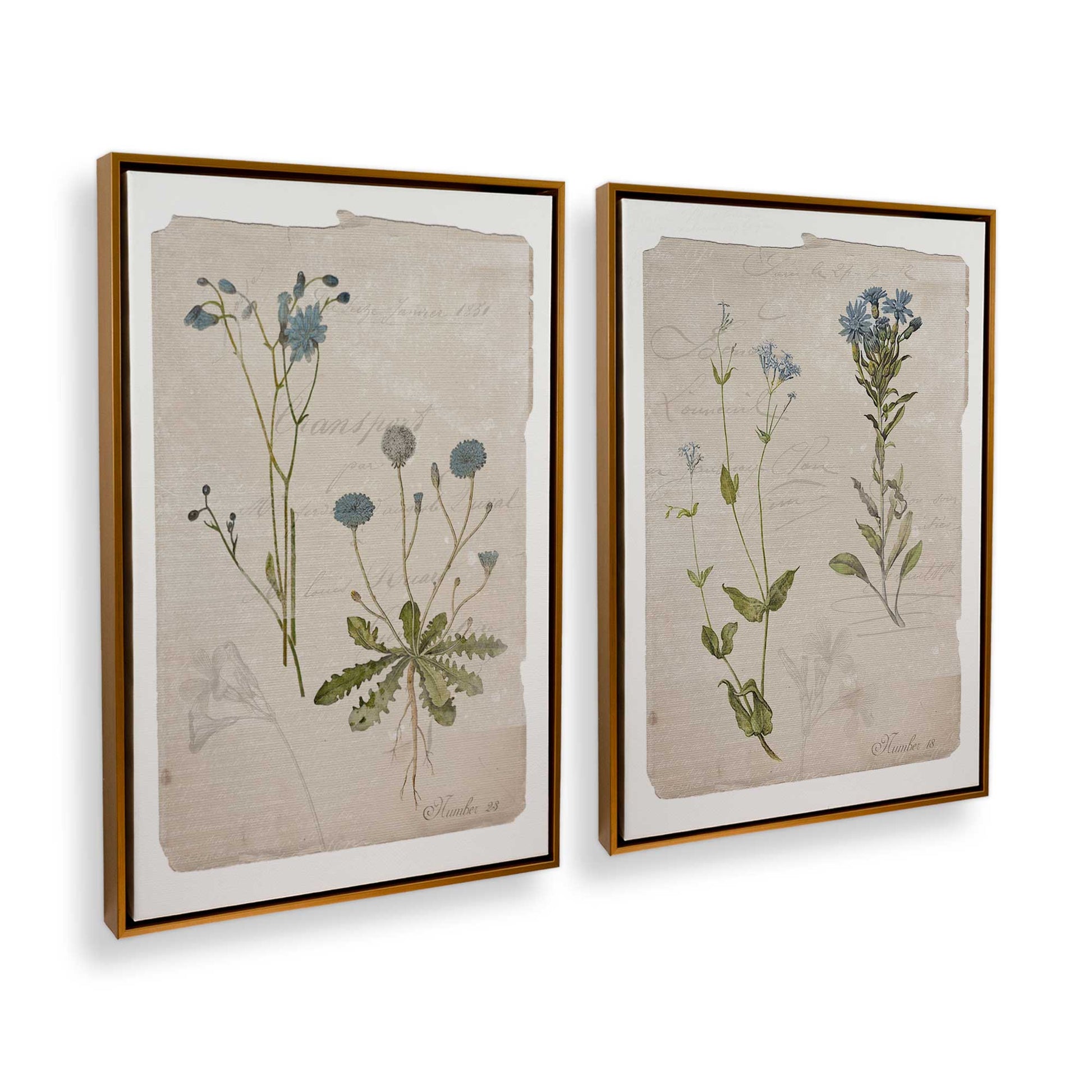 [Color:Polished Gold], Picture of art in a Polished Gold frame at an angle