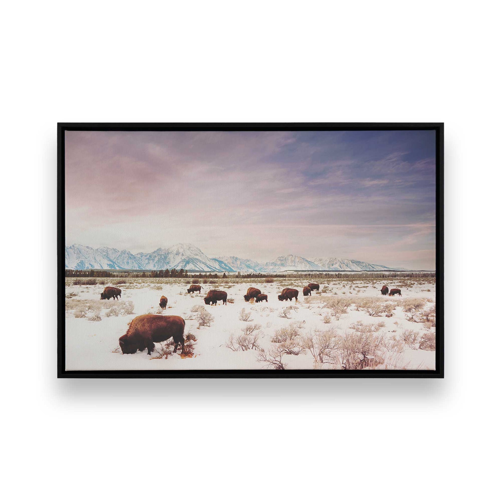 [Color:Satin Black], Picture of art in a Satin Black frame