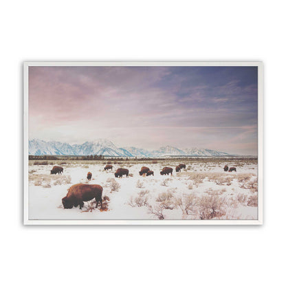 [Color:Opaque White], Picture of art in a Opaque White frame
