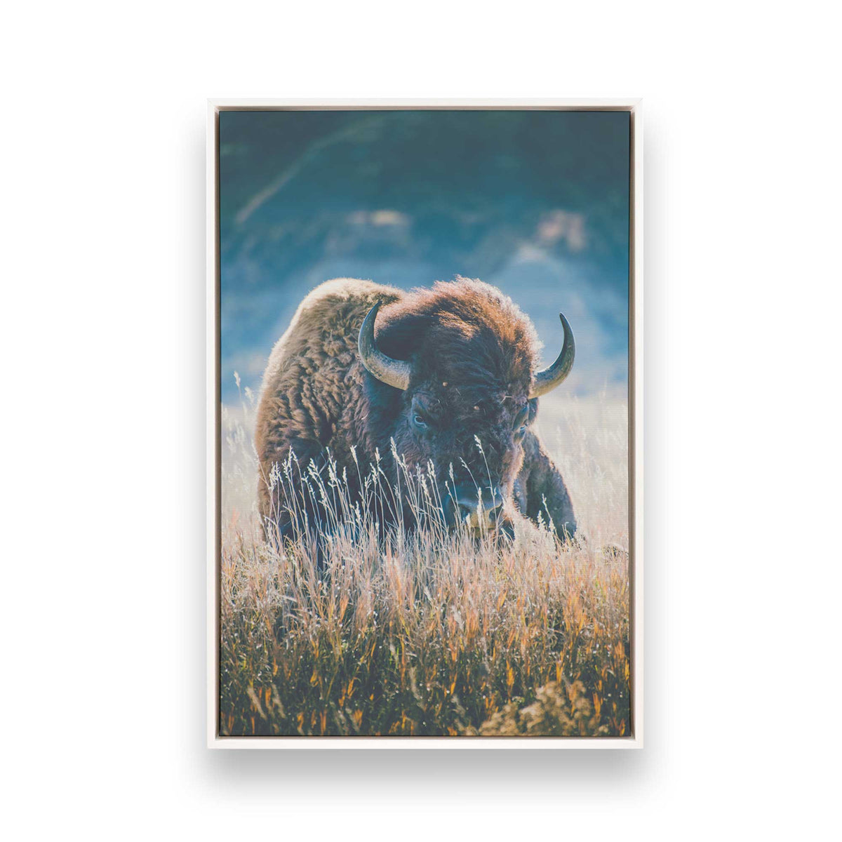 [Color:Opaque White], Picture of art in a White frame