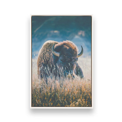 [Color:Opaque White], Picture of art in a White frame