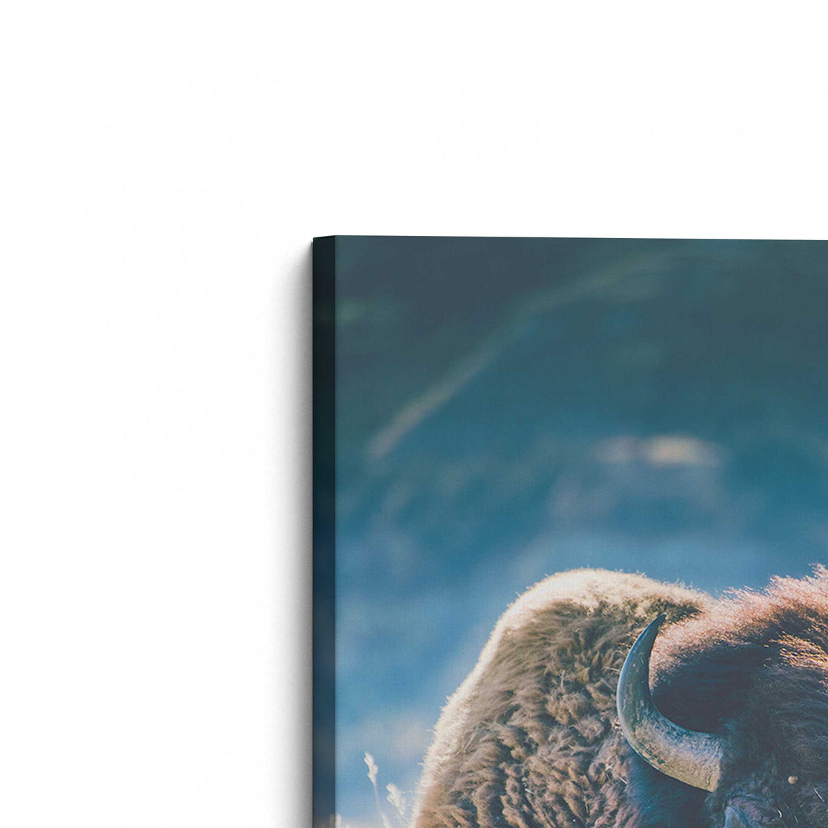 [Color:Stretched Canvas], Picture of the corner of the art