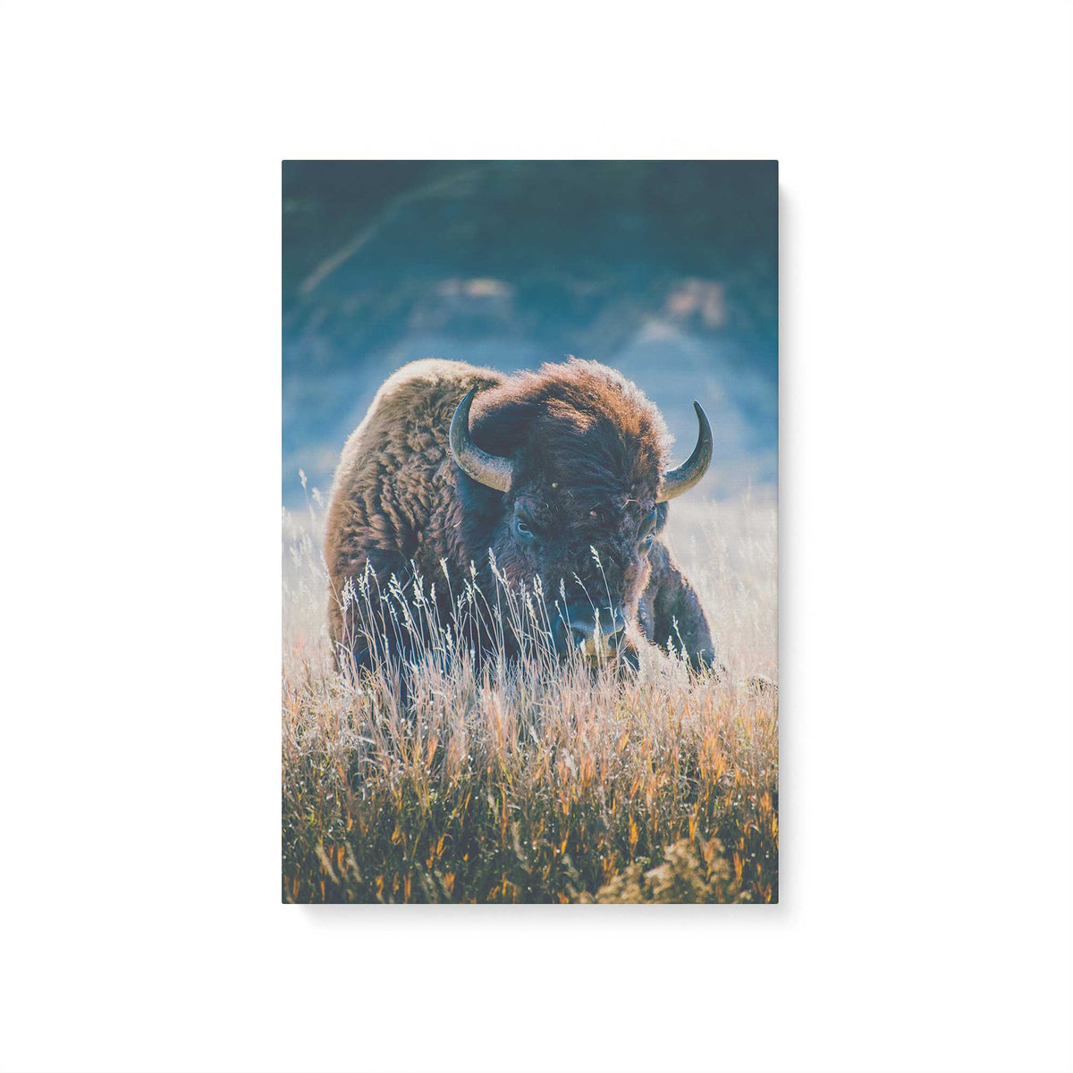 [Color:Stretched Canvas], Picture of art