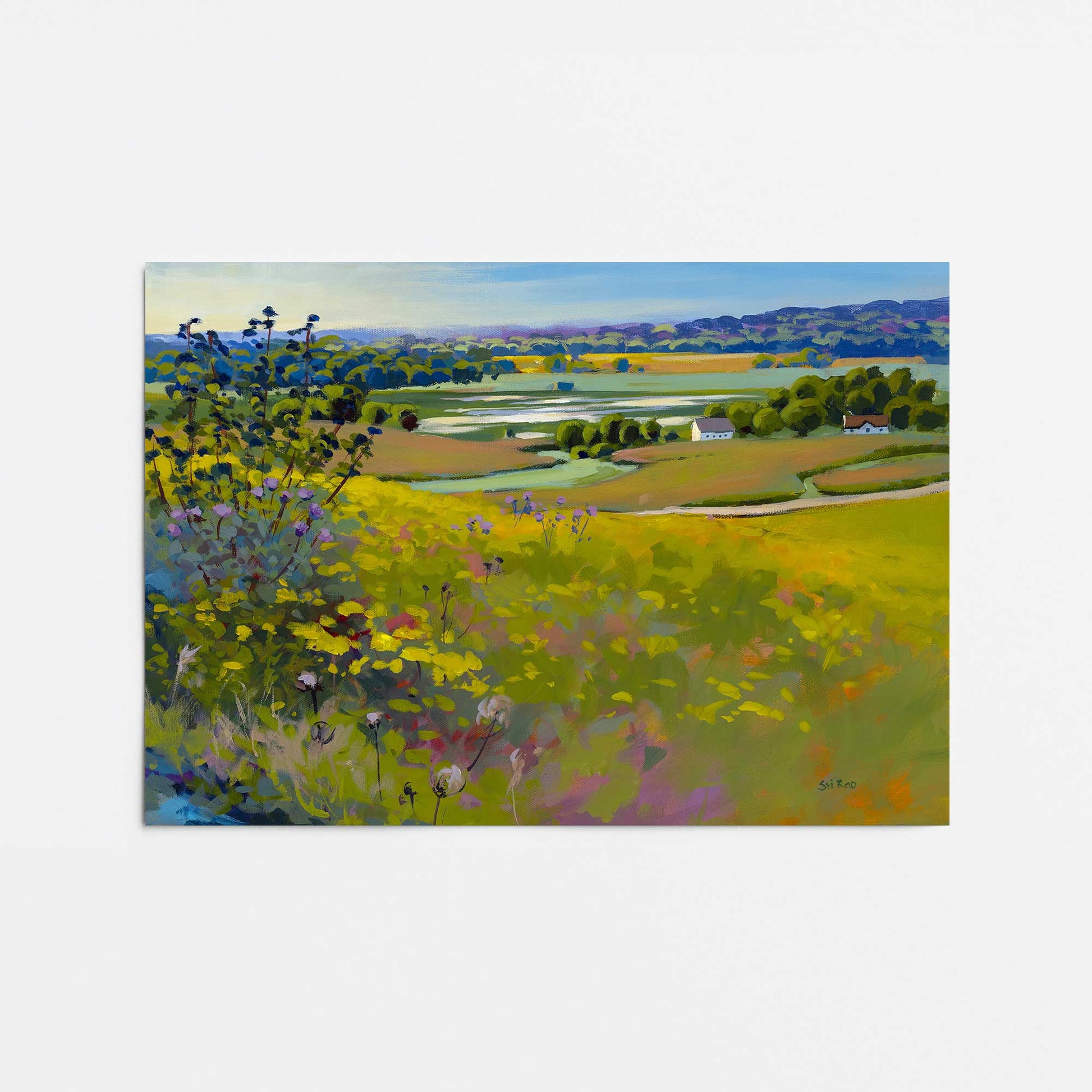 [Color:Rolled Print], Picture of close up of art