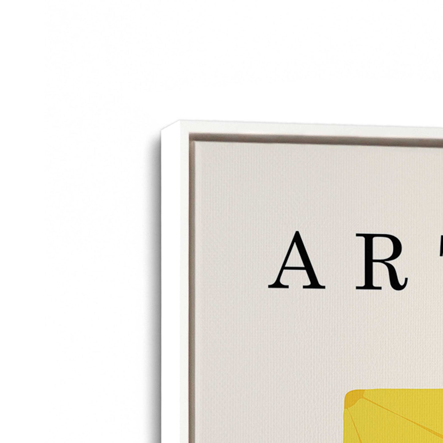 [Color:Opaque White], Picture of art in a White frame at an angle