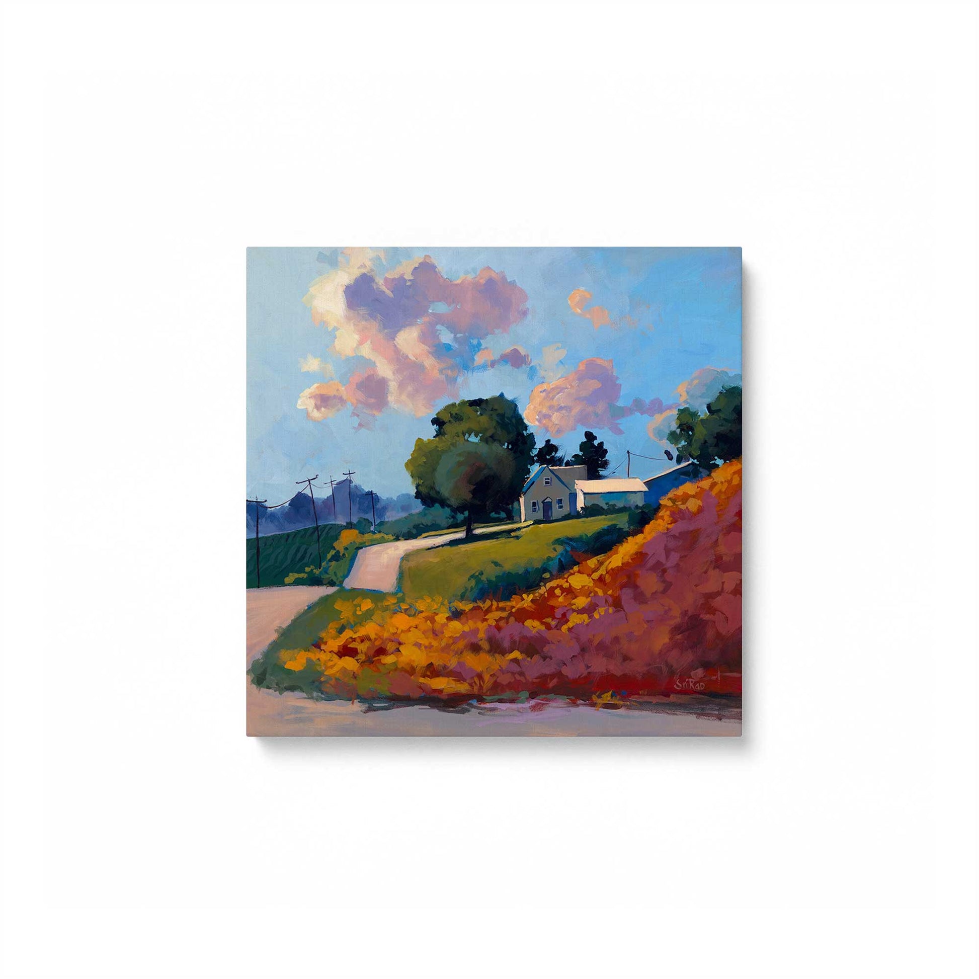 [Color:Stretched Canvas], Picture of art