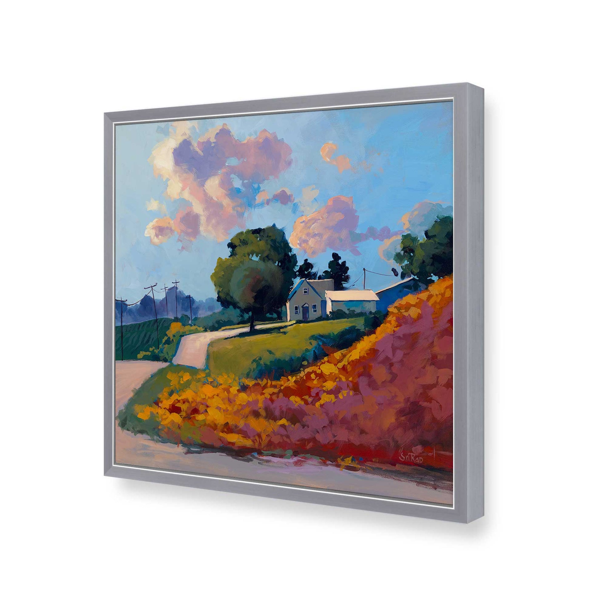 [Color:Polished Chrome], Picture of art in a Polished Chrome frame of the corner