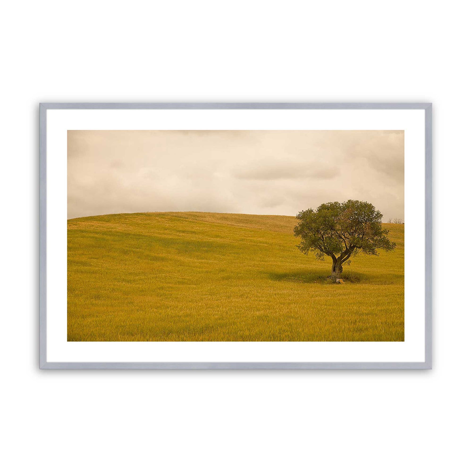 [Color:Polished Chrome], Picture of art in a Polished Chrome frame