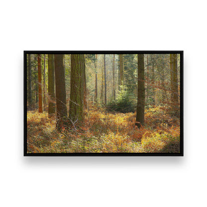 [Color:Satin Black], Picture of art in a Satin Black frame