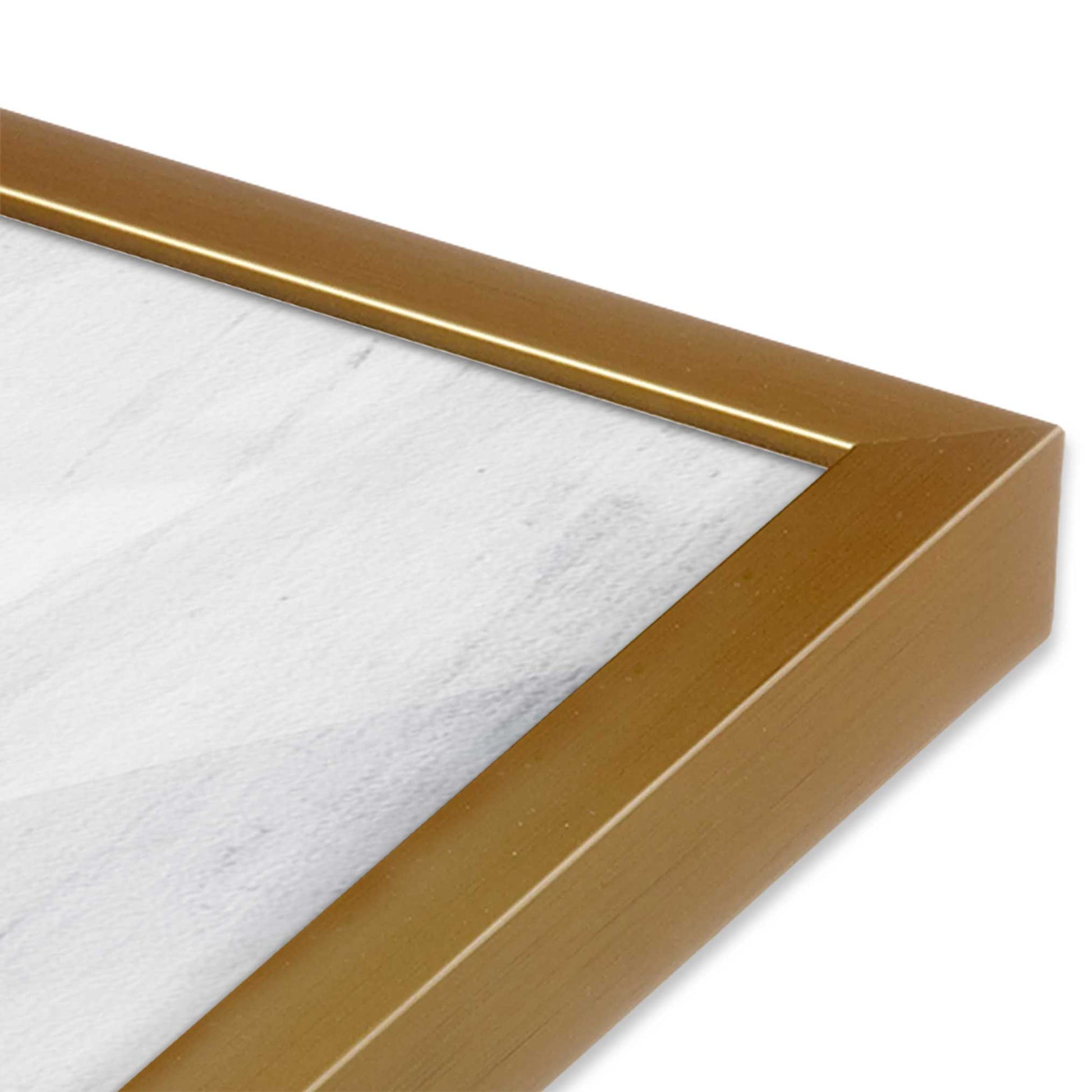 [Color:Polished Gold], Picture of art in a Polished Gold frame of the corner