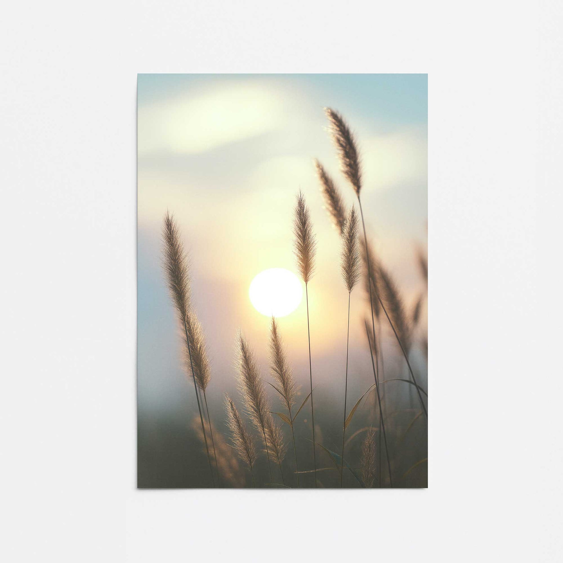 [Color:Rolled Print], Picture of close up of art