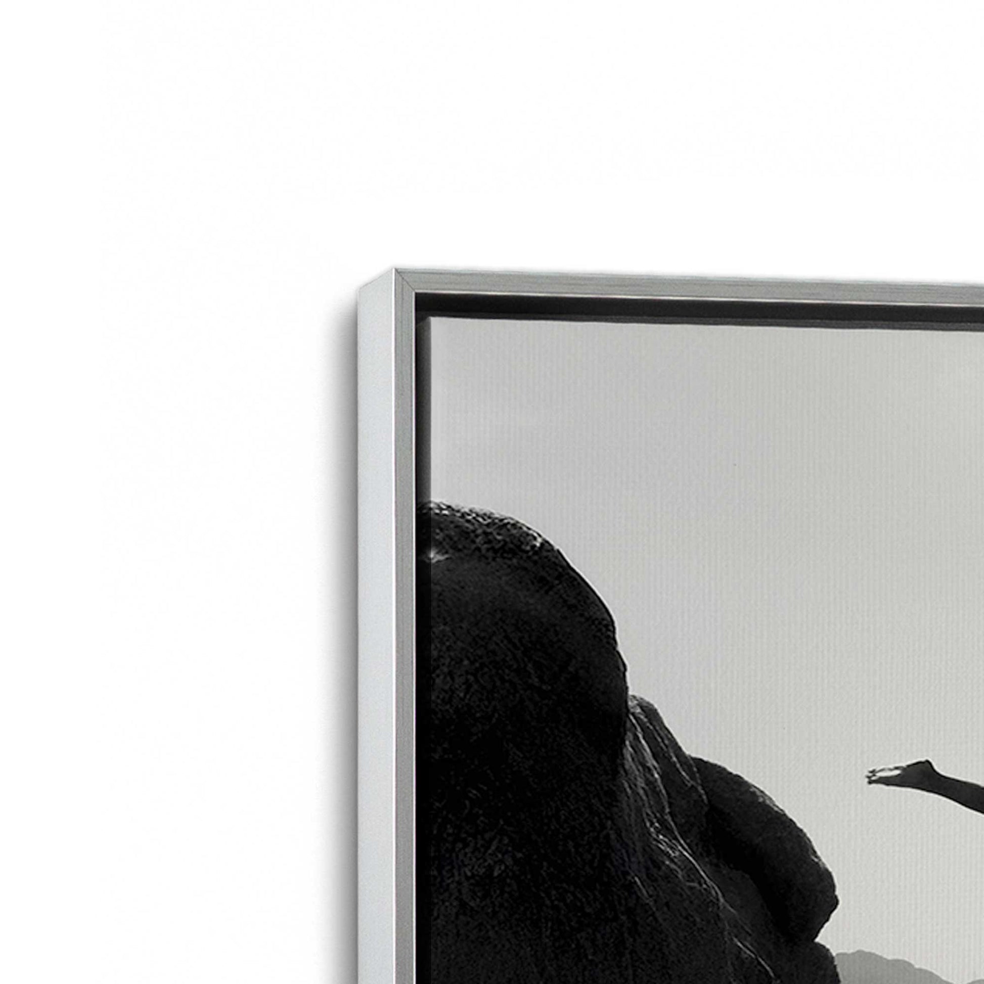 [Color:Polished Chrome], Picture of art in a Polished Chrome frame at an angle