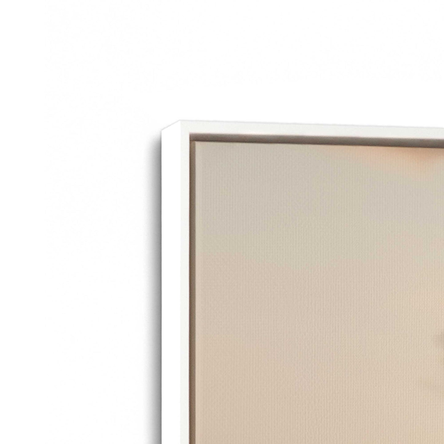 [Color:Opaque White], Picture of art in a White frame at an angle