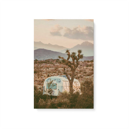 [Color:Stretched Canvas], Picture of art