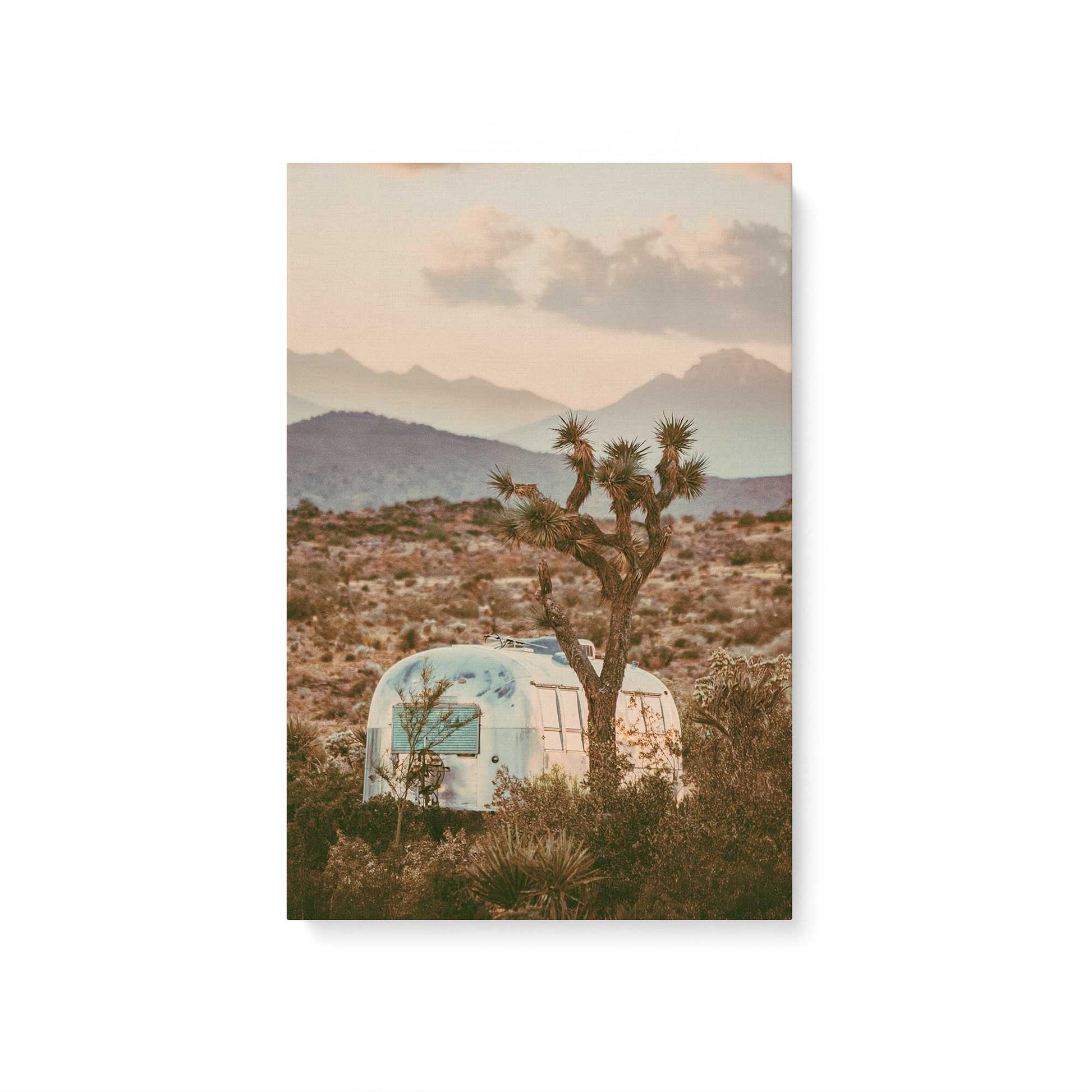 [Color:Stretched Canvas], Picture of art