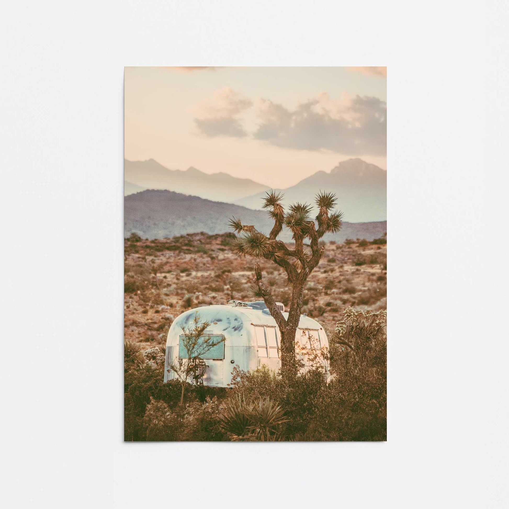 [Color:Rolled Print], Picture of close up of art