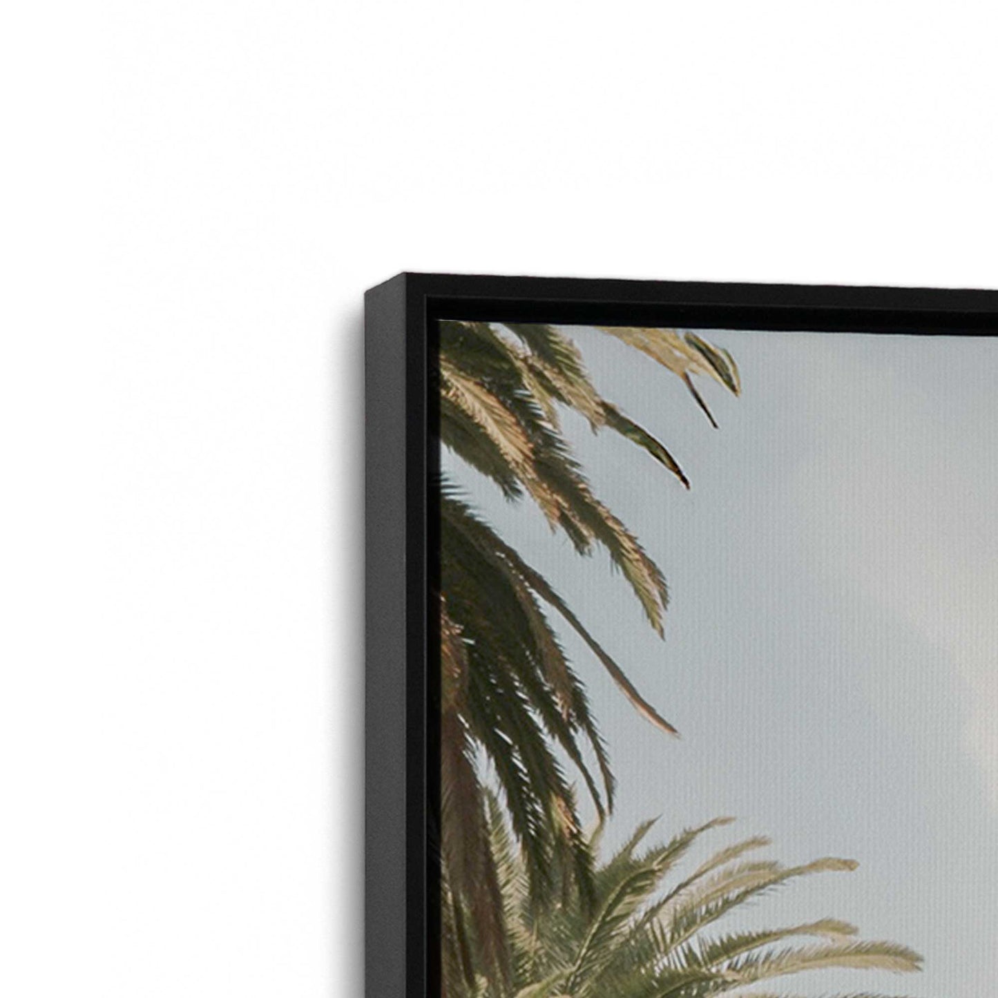 [Color:Satin Black], Picture of art in a Satin Black frame at an angle