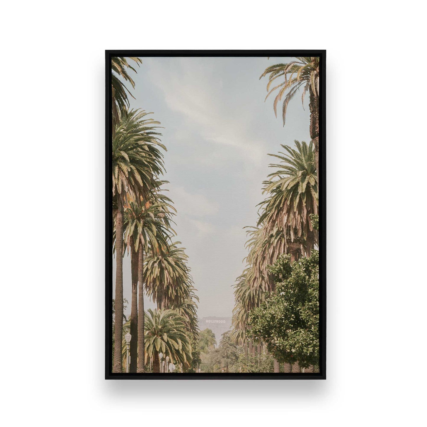 [Color:Satin Black], Picture of art in a Satin Black frame