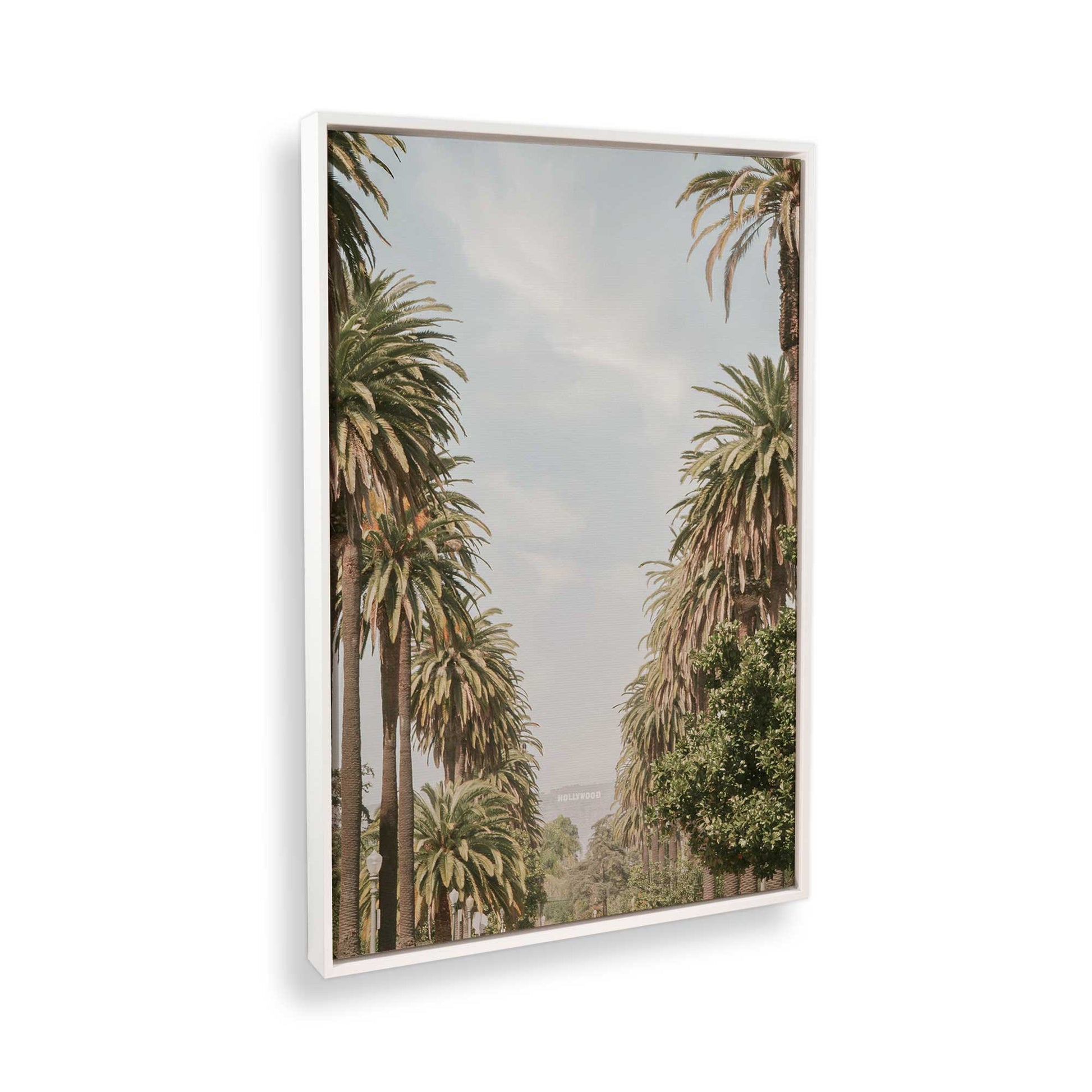 [Color:Opaque White], Picture of the corner of the art