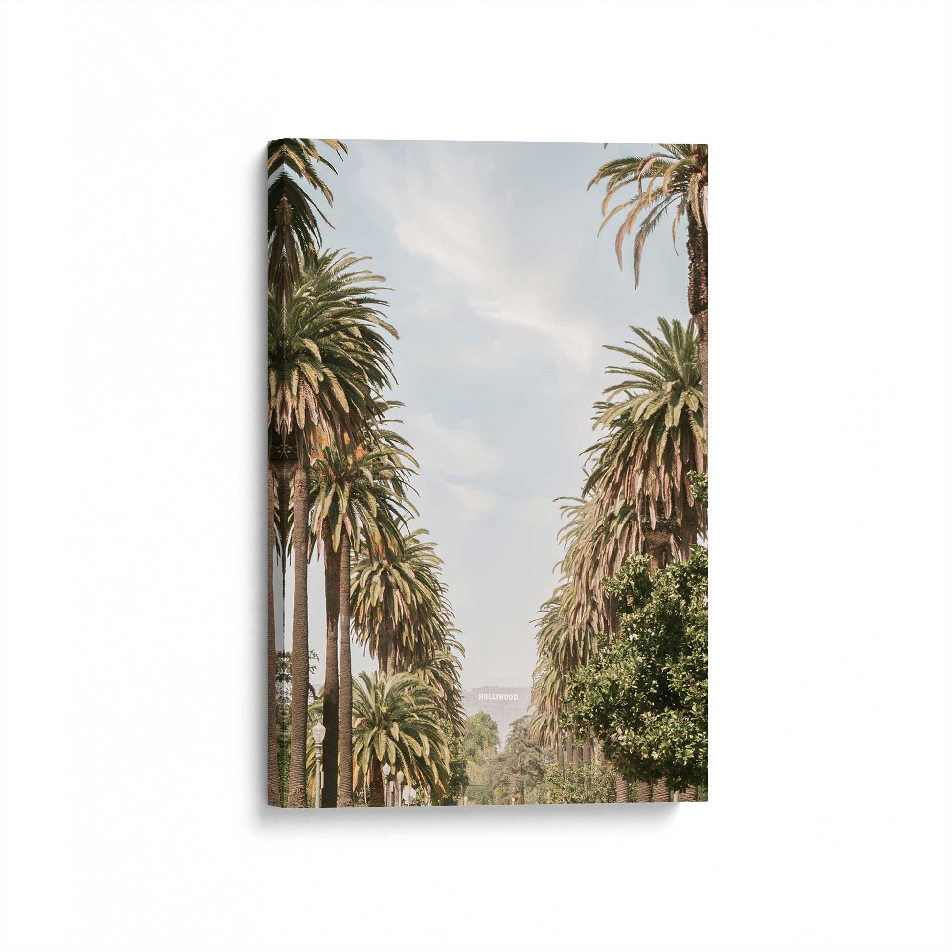 [Color:Stretched Canvas], Picture of art at an angle