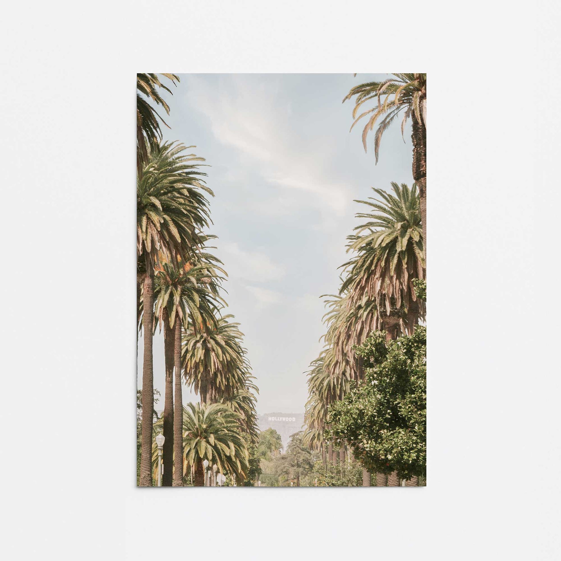 [Color:Rolled Print], Picture of close up of art