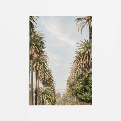 [Color:Rolled Print], Picture of close up of art