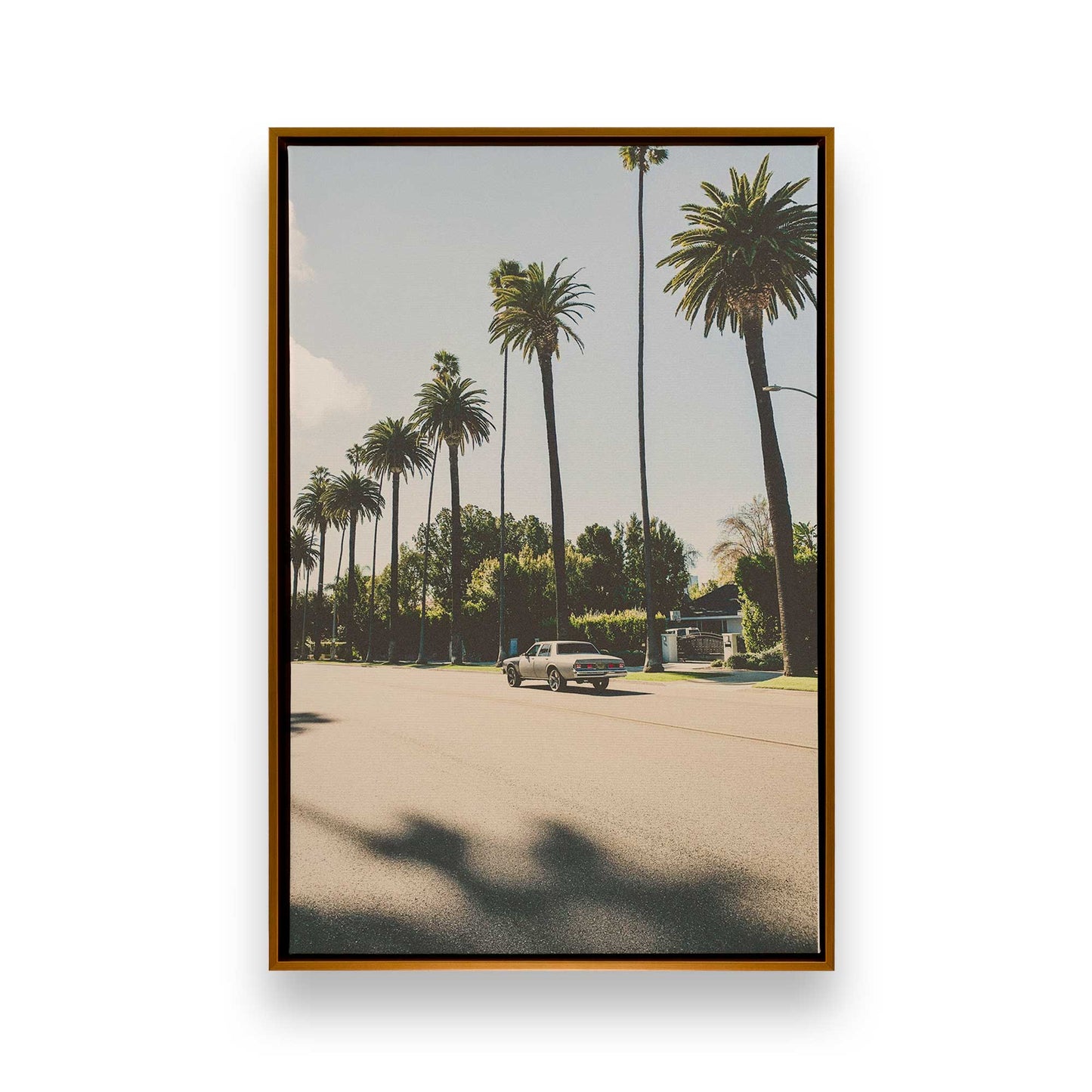 [Color:Polished Gold], Picture of art in a Polished Gold frame