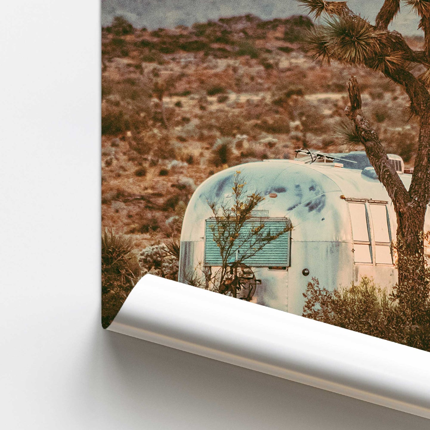 [color:Rolled Print], Picture of close up of art