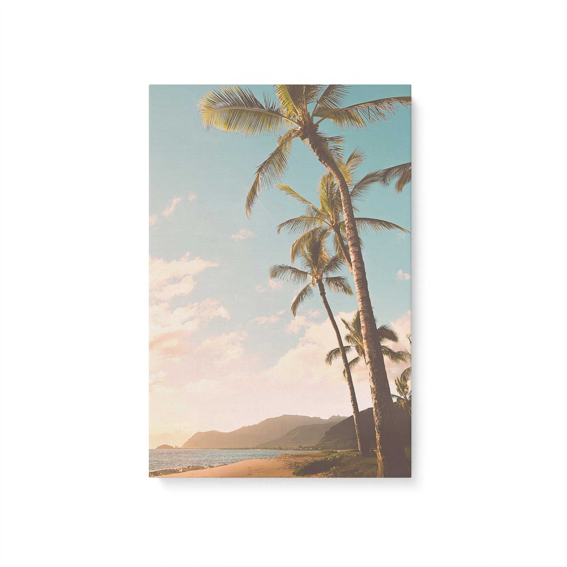 [Color:Stretched Canvas], Picture of art