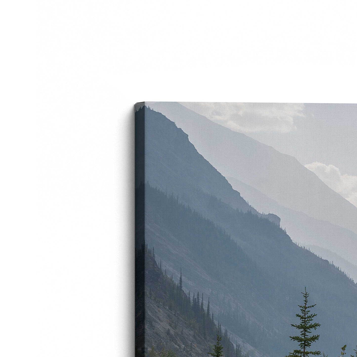 [Color:Stretched Canvas], Picture of the corner of the art