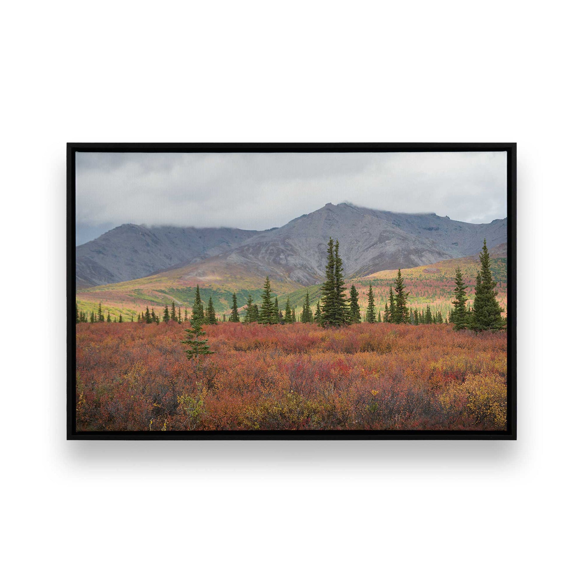 [Color:Satin Black], Picture of art in a Satin Black frame