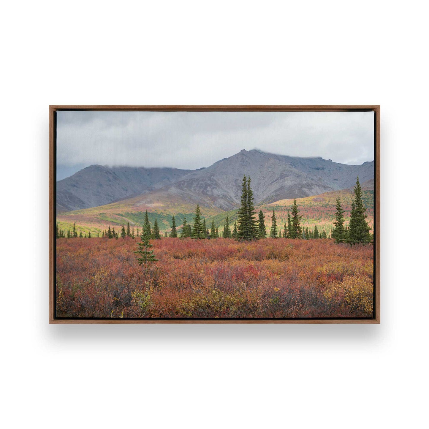 [Color:Walnut], Picture of art in a Walnut frame