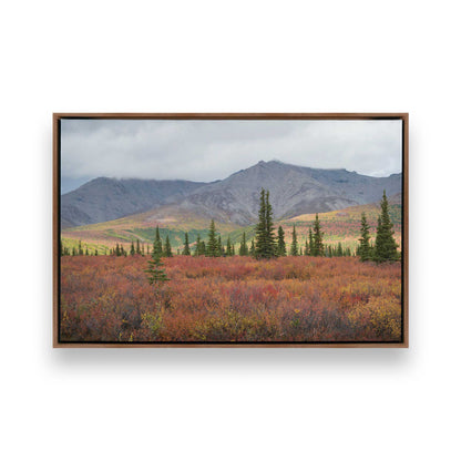 [Color:Walnut], Picture of art in a Walnut frame