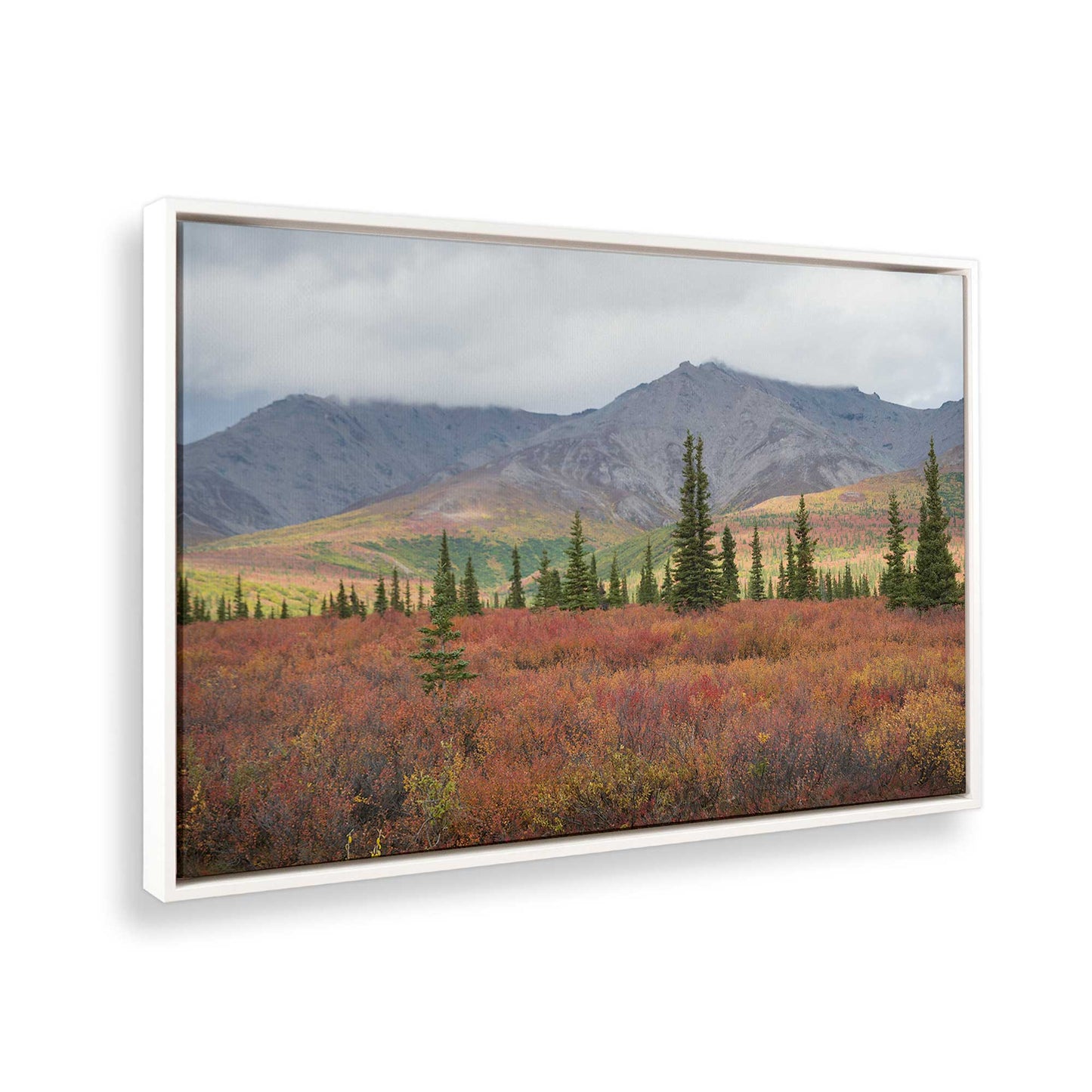 [Color:Opaque White], Picture of the corner of the art