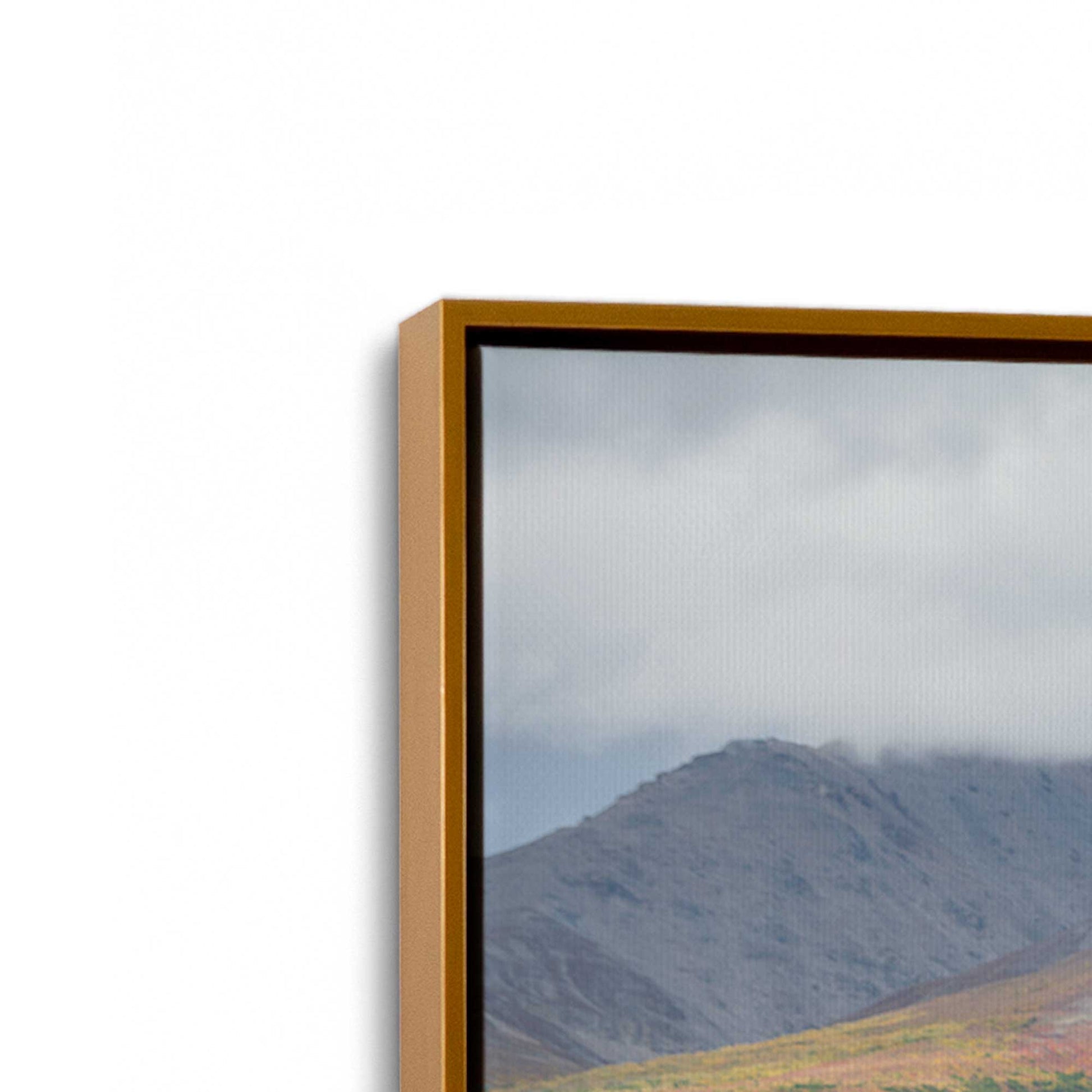 [Color:Polished Gold], Picture of art in a Polished Gold frame at an angle