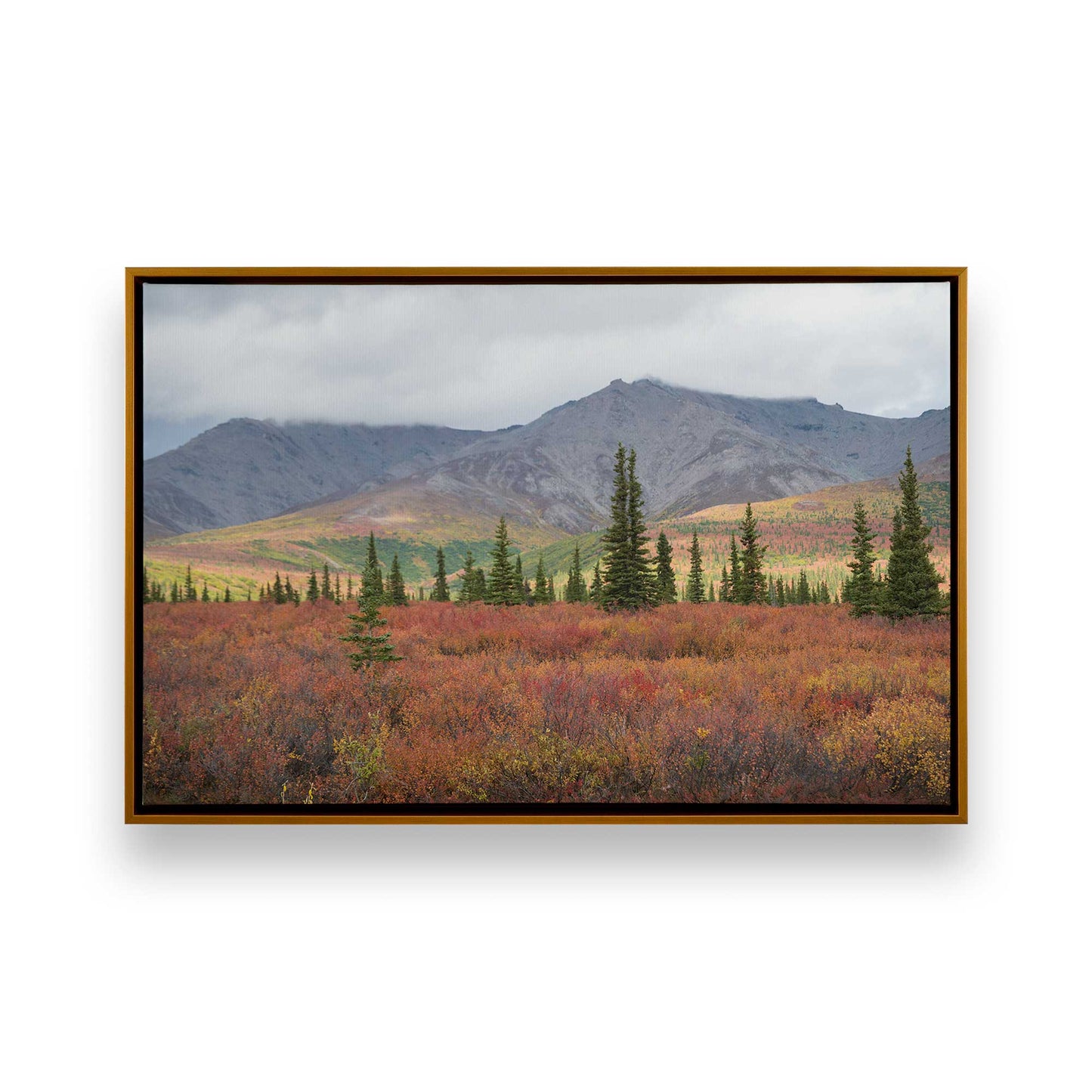 [Color:Polished Gold], Picture of art in a Polished Gold frame