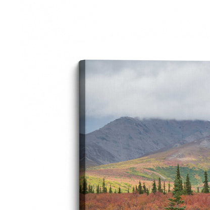 [Color:Stretched Canvas], Picture of the corner of the art