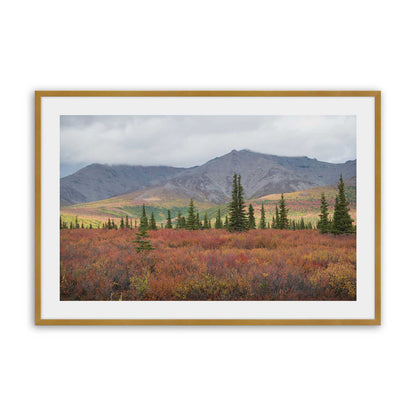 [Color:Polished Gold], Picture of art in a Polished Gold frame