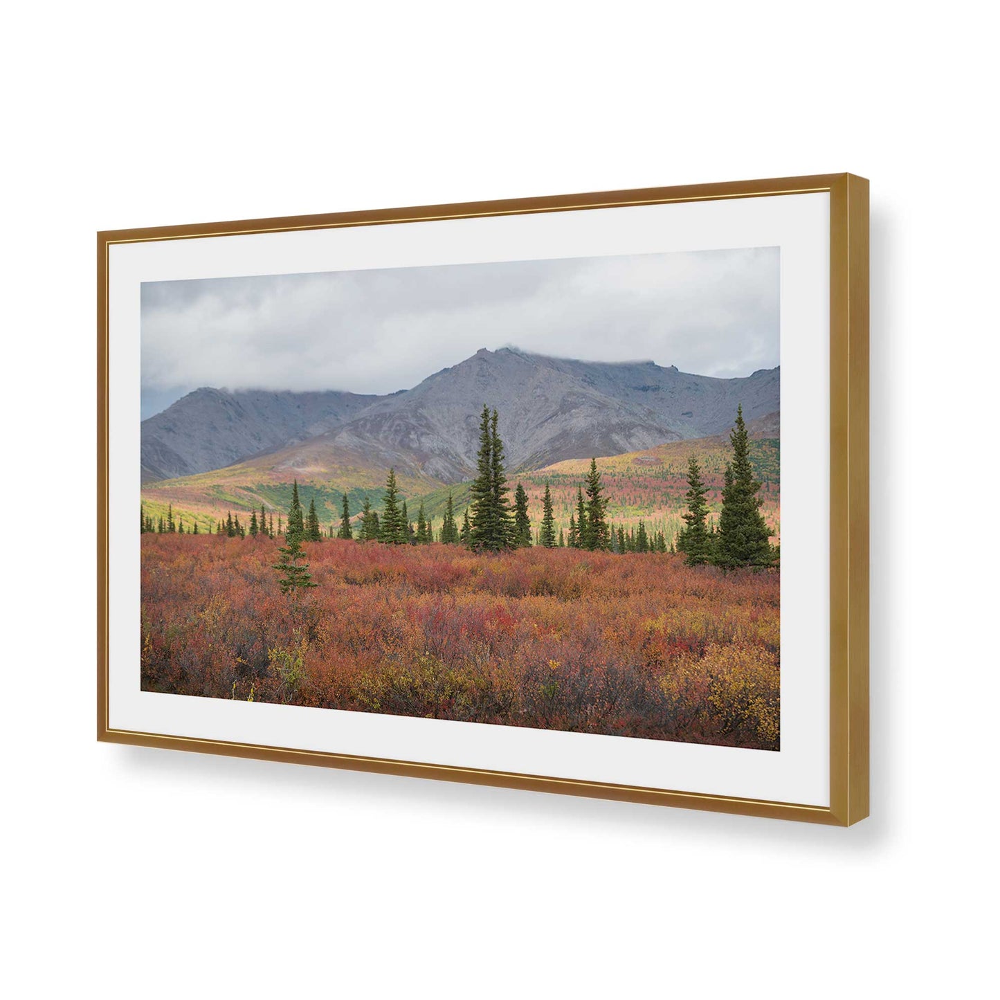 [Color:Polished Gold], Picture of art in a Polished Gold frame of the corner