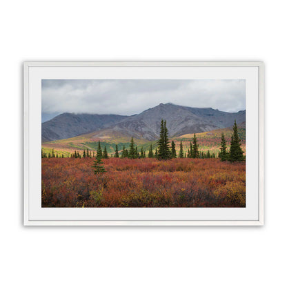 [Color:Opaque White], Picture of art in a Opaque White frame