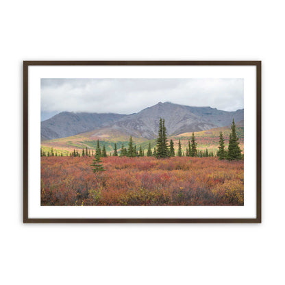 [Color:Belvinder Brown], Picture of art in a Belvinder Brown frame