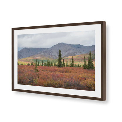 [Color:Brown], Picture of art in a Brown frame of the corner