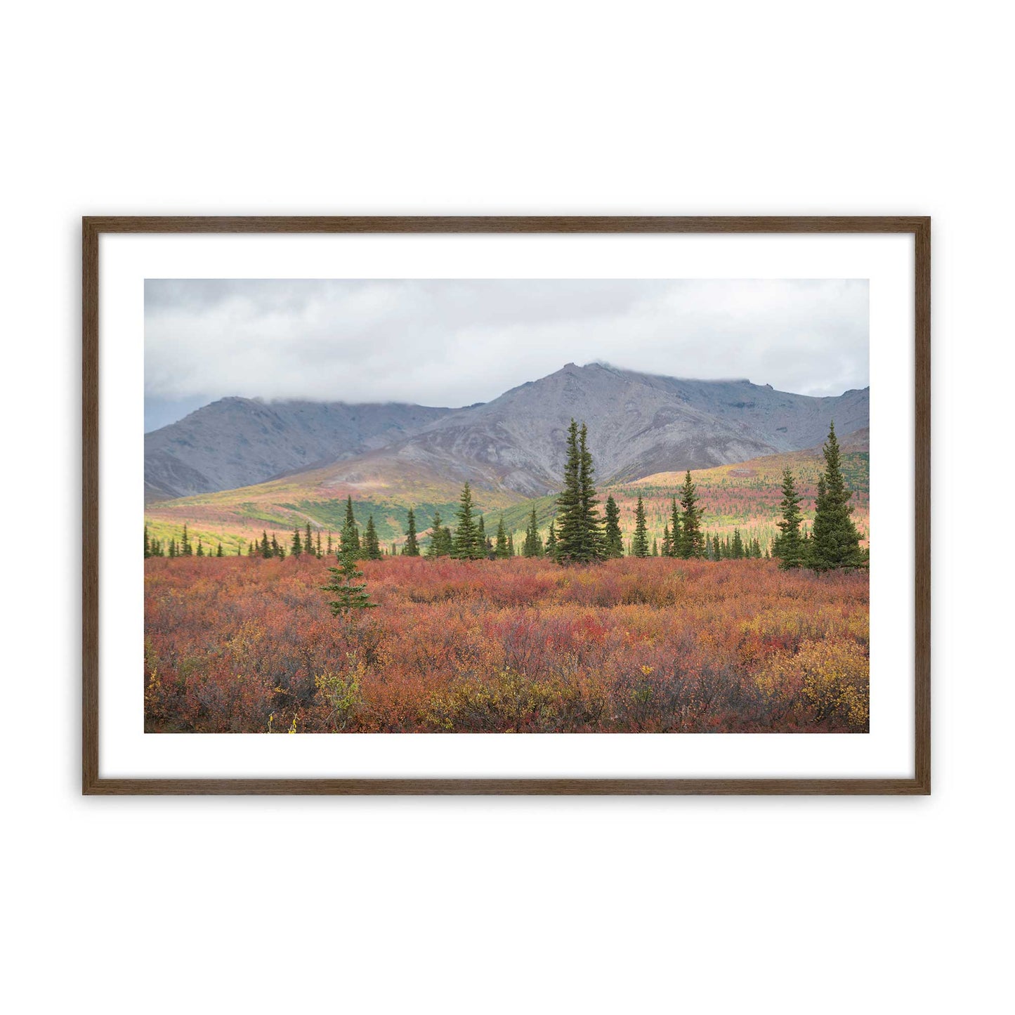 [Color:Walnut], Picture of art in a Walnut frame