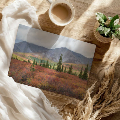 [Color:Rolled Print], Picture of close up of art