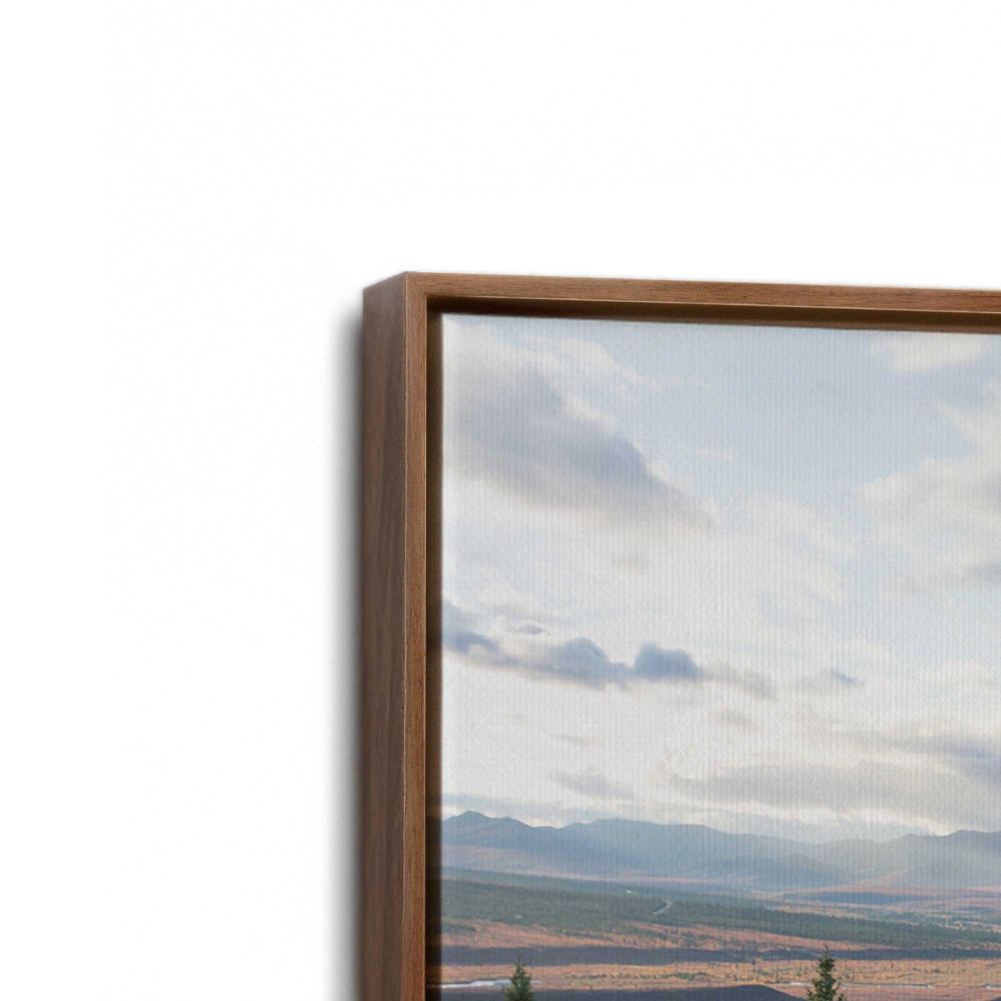[Color:Walnut], Picture of art in a Walnut frame at an angle