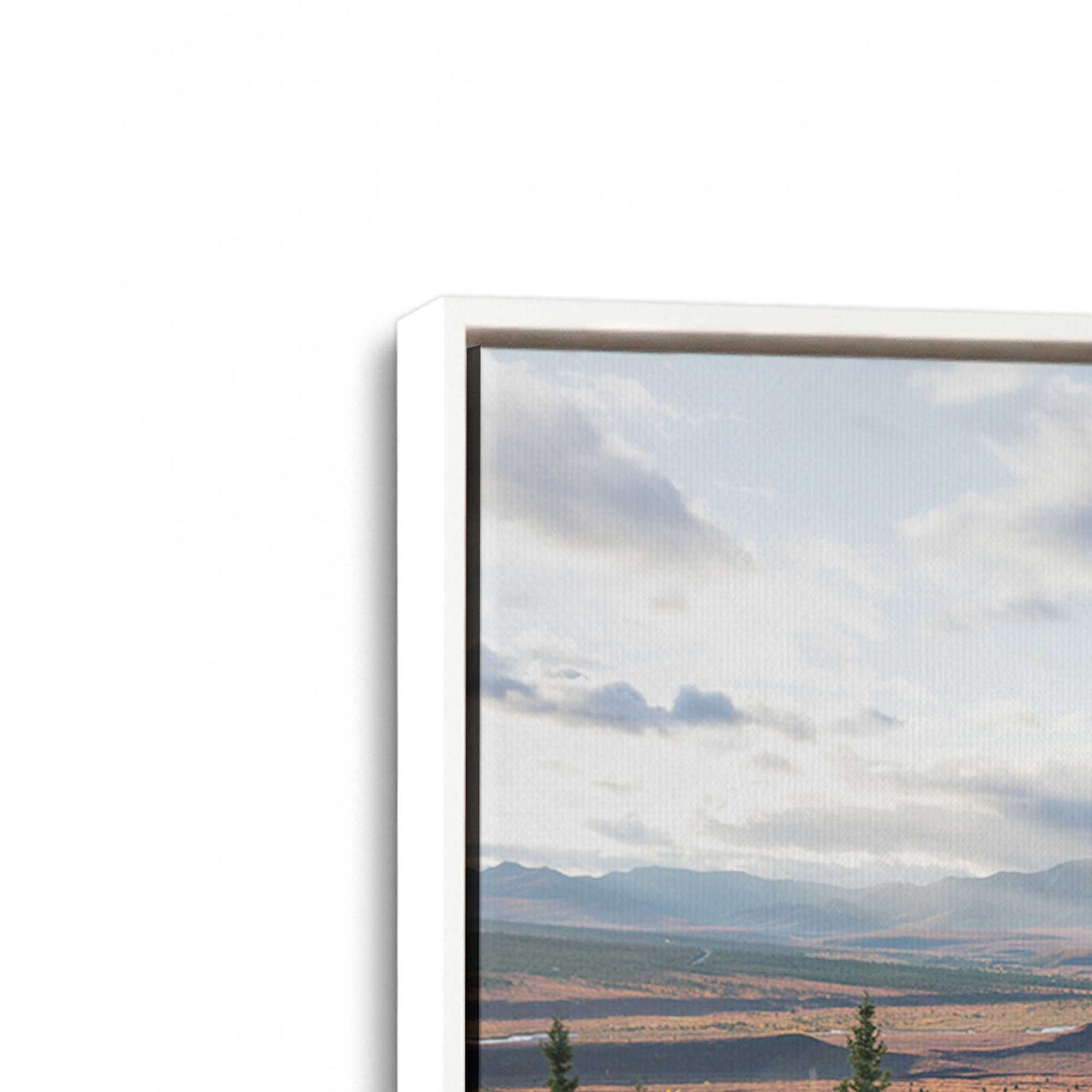 [Color:Opaque White], Picture of art in a White frame at an angle