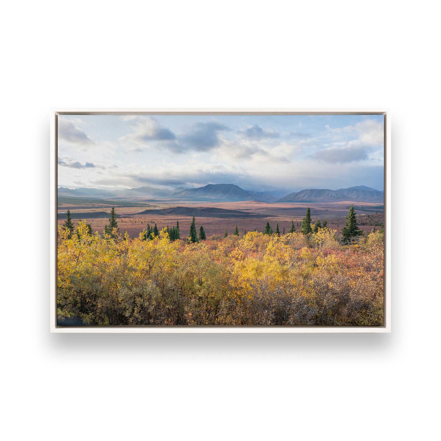 [Color:Opaque White], Picture of art in a White frame