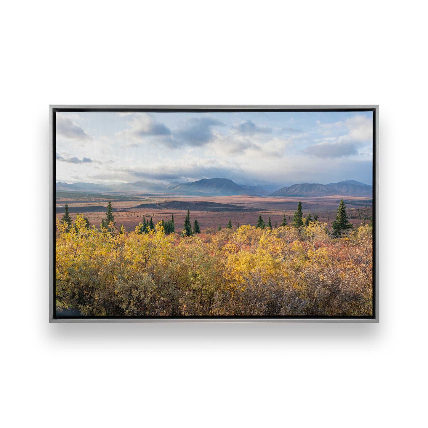 [Color:Polished Chrome], Picture of art in a Polished Chrome frame