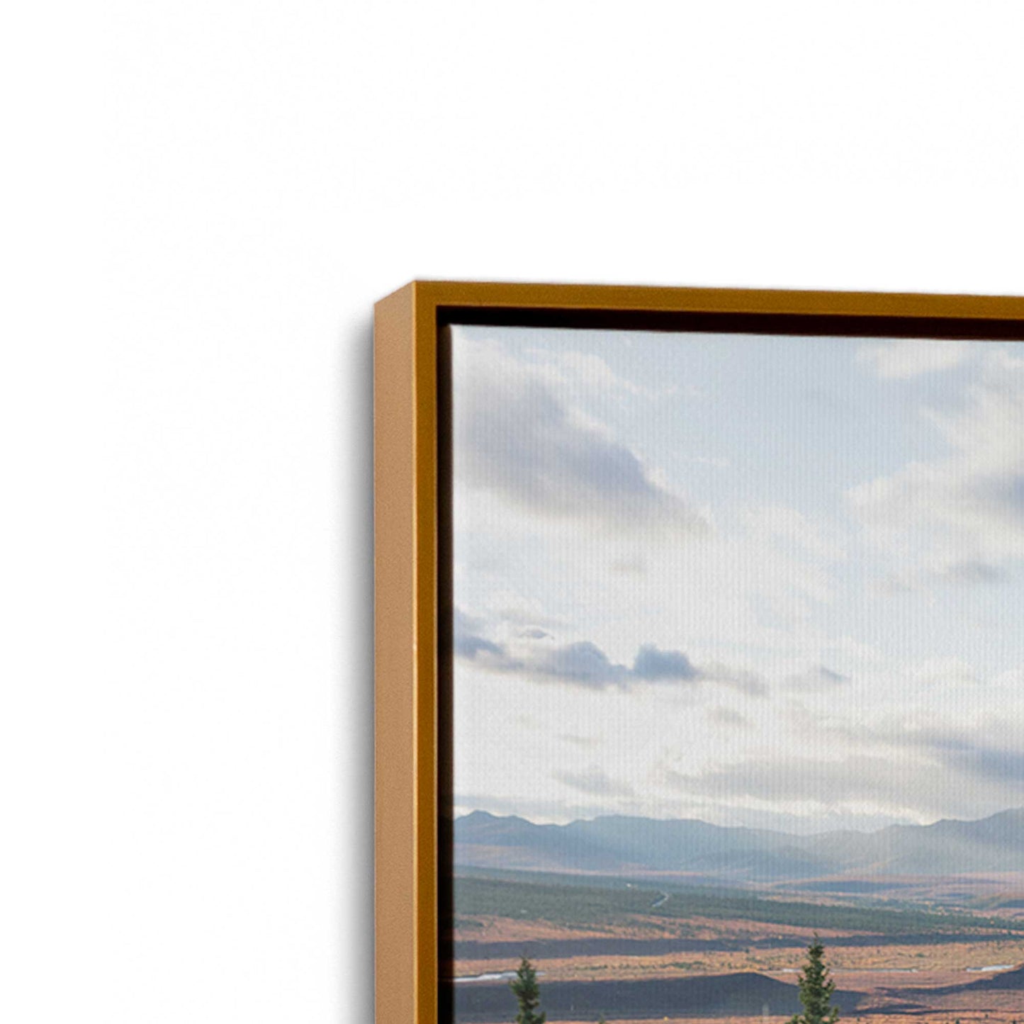 [Color:Polished Gold], Picture of art in a Polished Gold frame at an angle