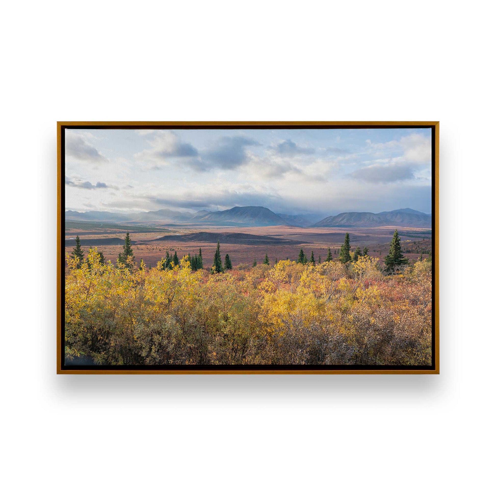 [Color:Polished Gold], Picture of art in a Polished Gold frame
